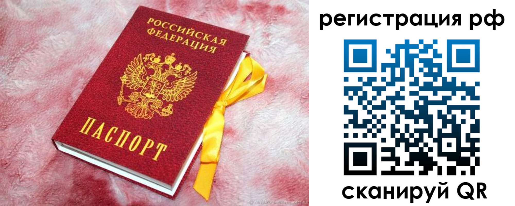 прописка в Данкове